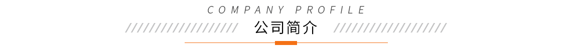 x公司简介.jpg